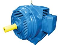 Электродвигатель 5АМН 280S6